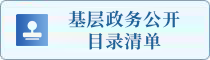 基層政務(wù)公開目錄清單